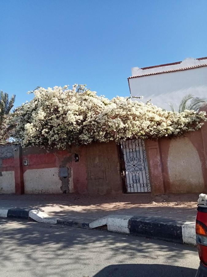 House With Backyard In Holiday home Dahab