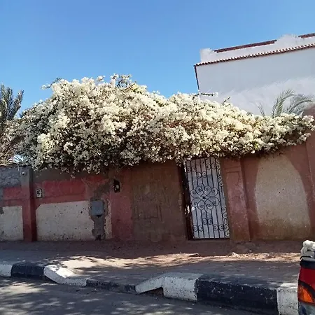 House With Backyard In Dahab Villa Exterior photo